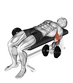 Dumbbell Lying Supine Biceps Curl exercise demonstration for Biceps, and Upper Arms, Dumbbell