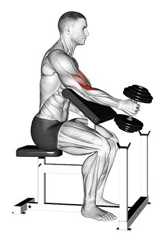 Dumbbell One Arm Hammer Preacher Curl exercise demonstration for Biceps, and Upper Arms, Dumbbell