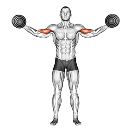 High Curl exercise demonstration for Biceps, and Upper Arms, Dumbbell
