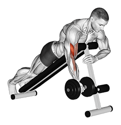 Dumbbell One Arm Prone Curl exercise demonstration for Biceps, and Upper Arms, Dumbbell