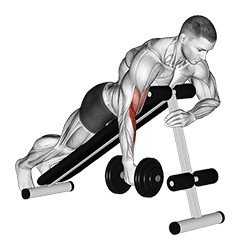 Dumbbell One Arm Prone Hammer Curl exercise demonstration for Biceps, and Upper Arms, Dumbbell