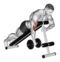 Dumbbell One Arm Reverse Spider Curl exercise demonstration for Biceps, and Upper Arms, Dumbbell