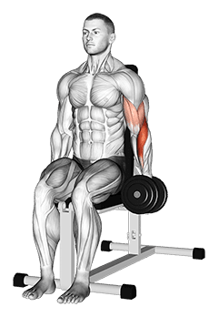 Dumbbell One Arm Seated Hammer Curl exercise demonstration for Biceps, and Upper Arms, Dumbbell