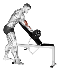 Dumbbell One Arm Zottman Preacher Curl exercise demonstration for Biceps, and Upper Arms, Dumbbell