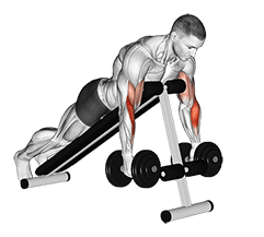 Dumbbell Prone Incline Hammer Curl exercise demonstration for Biceps, and Upper Arms, Dumbbell