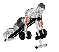 Dumbbell Reverse Spider Curl exercise demonstration for Biceps, and Upper Arms, Dumbbell