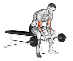 EZ Bar Seated Close Grip Concentration Curl exercise demonstration for Biceps, and Upper Arms, EZ Barbell