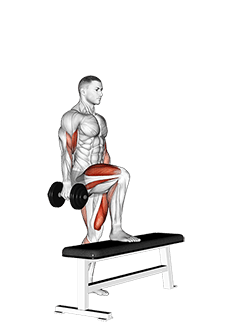Dumbbell Step Up Single Leg Balance with Bicep Curl exercise demonstration for Biceps, and Upper Arms, Dumbbell