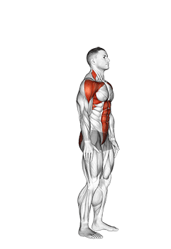 Posterior Step to Overhead Reach exercise demonstration for Plyometrics, Body weight