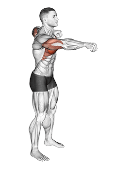 Push and Pull Bodyweight exercise demonstration