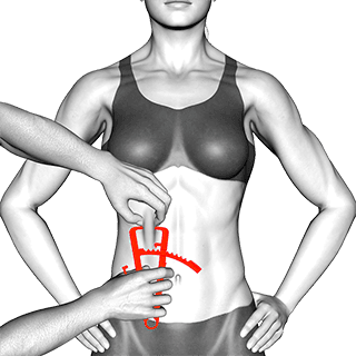 Body fat measurement exercise demonstration for Full body, Body weight