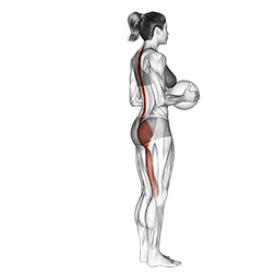 Medicine Ball Single Leg Deadlift exercise demonstration