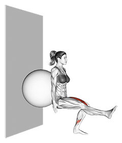 Stability Ball Single Leg Squat exercise demonstration
