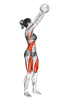 Medicine Ball Reverse Wood Chop Squat exercise demonstration