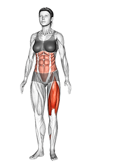 Single Leg Transverse Bend exercise demonstration for Thighs, Body weight