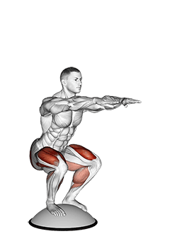 Squat On Bosu Ball exercise demonstration for Quadriceps, and Thighs, Bosu ball