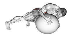 Prone Twist On Stability Ball exercise demonstration