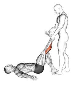 Assisted Lying Gastrocnemius Stretch exercise demonstration
