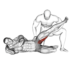 Assisted Side Lying Adductor Stretch exercise demonstration
