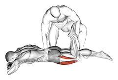 Assisted Prone Lying Quadriceps Stretch exercise demonstration