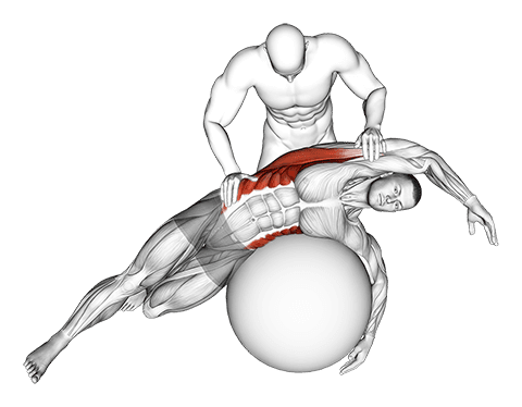 Assisted Oblique And Latissimus Dorsi Stretch On Stability Ball exercise demonstration