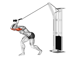 High Pulley Overhead Tricep Extension exercise demonstration