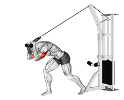 Cable Rope High Pulley Overhead Tricep Extension exercise demonstration