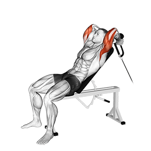 Rope Incline Tricep Extension exercise demonstration for Triceps, and Upper Arms, Cable