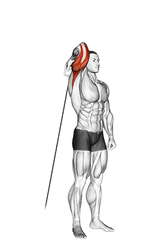 Cable Standing Reverse Grip One Arm Overhead Tricep Extension exercise demonstration for Triceps, and Upper Arms, Cable