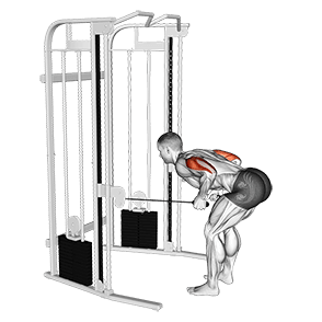 Two Arm Tricep Kickback exercise demonstration for Triceps, and Upper Arms, Cable