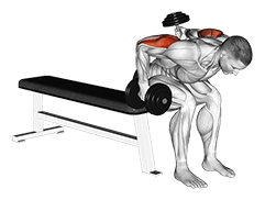 Dumbbell Seated Bent Over Alternate Kickback exercise demonstration for Upper Arms, Dumbbell