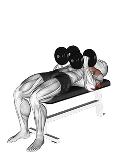 Dumbbell Close Grip Press exercise demonstration for Triceps, and Upper Arms, Dumbbell