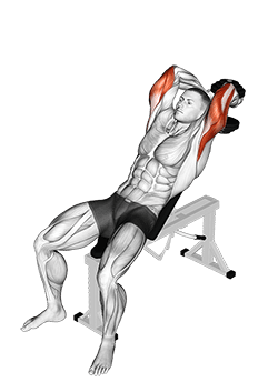 Dumbbell Incline Two Arm Extension exercise demonstration for Triceps, and Upper Arms, Dumbbell