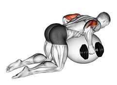 Dumbbell Kickbacks on Exercise Ball exercise demonstration for Upper Arms, Dumbbell