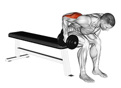 Dumbbell Seated Bent Over Triceps Extension exercise demonstration for Triceps, and Upper Arms, Dumbbell