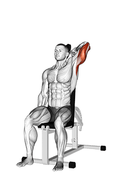 Dumbbell Seated Reverse Grip One Arm Overhead Tricep Extension exercise demonstration for Triceps, and Upper Arms, Dumbbell