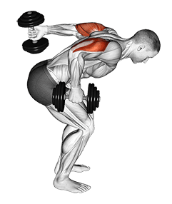 Dumbbell Standing Alternating Tricep Kickback exercise demonstration for Triceps, and Upper Arms, Dumbbell