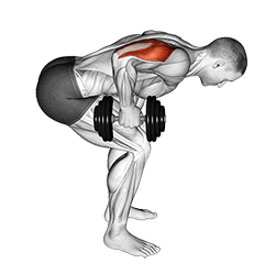 Dumbbell Standing Bent Over One Arm Triceps Extension exercise demonstration for Triceps, and Upper Arms, Dumbbell
