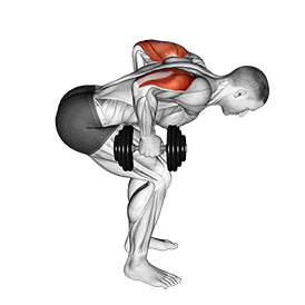 Standing Bent Over Two Arm Triceps Extension exercise demonstration for Triceps, and Upper Arms, Dumbbell