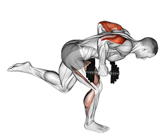Dumbbell Tricep Kickback With Stork Stance exercise demonstration for Triceps, and Upper Arms, Dumbbell