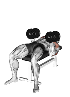 Dumbbell Twisting Bench Press exercise demonstration for Upper Arms, Dumbbell