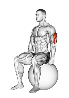 Exercise Ball Seated Triceps Stretch exercise demonstration for Triceps, and Upper Arms, Stability ball