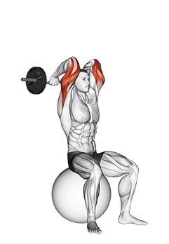 EZ Bar French Press on Exercise Ball exercise demonstration for Upper Arms, EZ Barbell