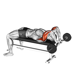 EZ Bar Lying Close Grip Triceps Extension Behind Head exercise demonstration for Triceps, and Upper Arms, EZ Barbell