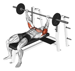 Barbell Pin Presses exercise demonstration