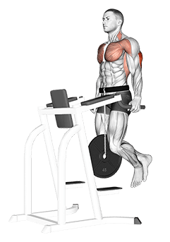 Weighted Tricep Dips exercise demonstration for Triceps, and Upper Arms, Weighted