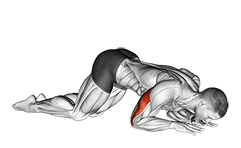 Bodyweight Kneeling Triceps Extension exercise demonstration for Triceps, and Upper Arms, Body weight