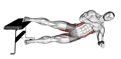 Side Plank Hip Adduction exercise demonstration for Hips, Body weight