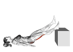 Lying Single Straight Leg Hip Extension exercise demonstration for Thighs, Body weight