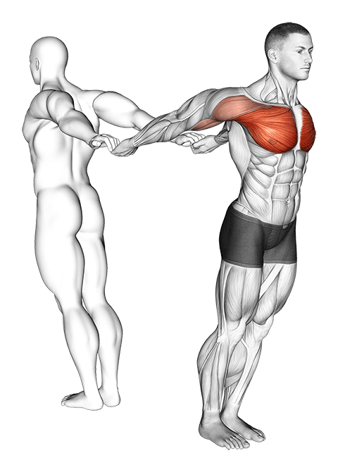 Assisted Pulling Backs Chest Stretch exercise demonstration